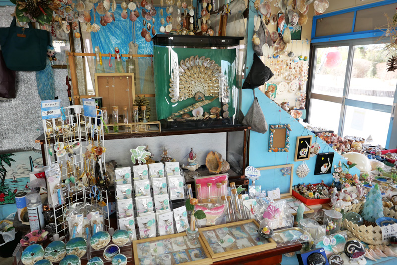 アワビで作った孔雀の飾り