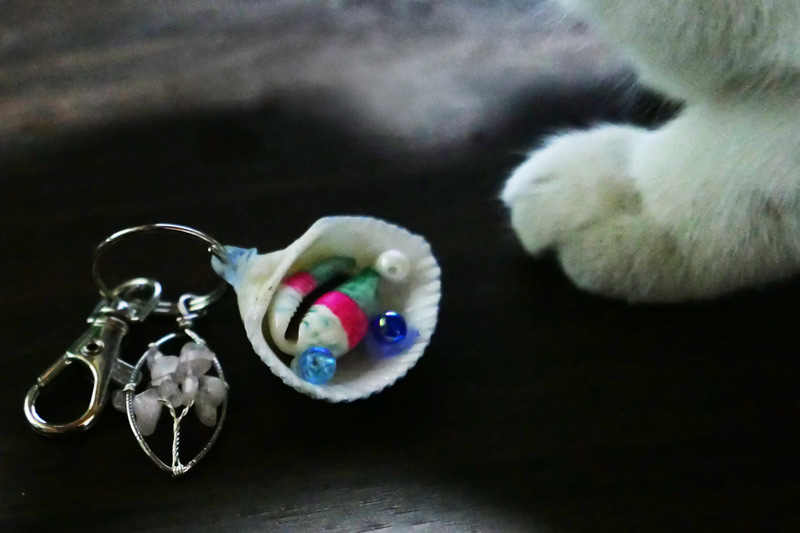 購入した貝細工