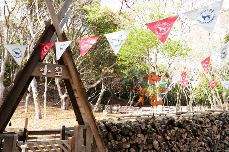 小型犬コーナー