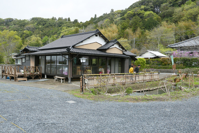 恵のごはんの建物