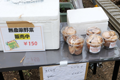 生きくらげ・シイタケ