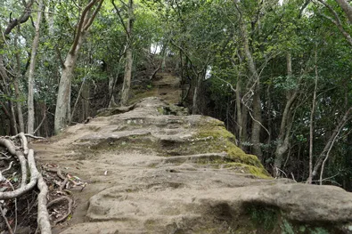 岩場