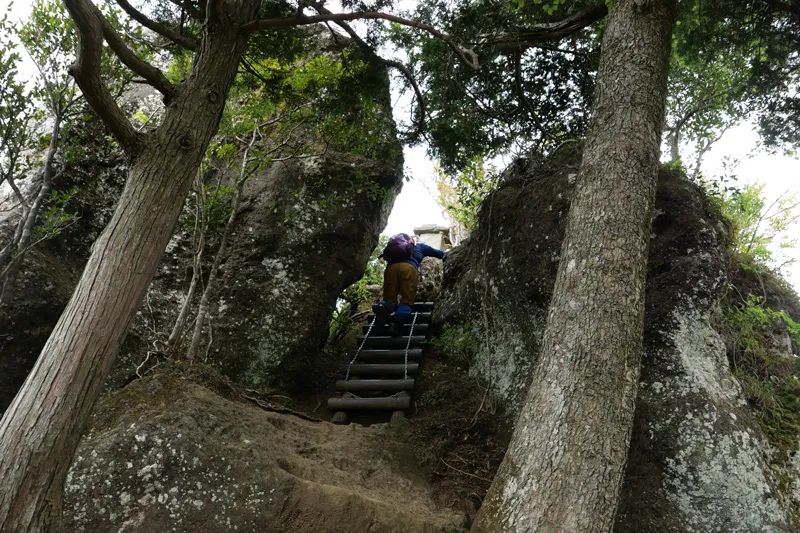 頂上手前の梯子