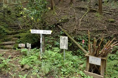 登山用の杖