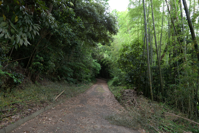 安房大杉神社の入口