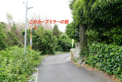 カーブミラーの向かい側