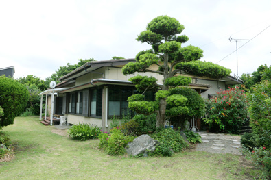 芝生の庭園
