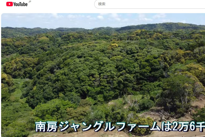 南房ジャングルファームのドローン動画