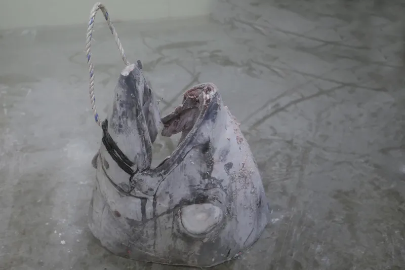 マグロの頭