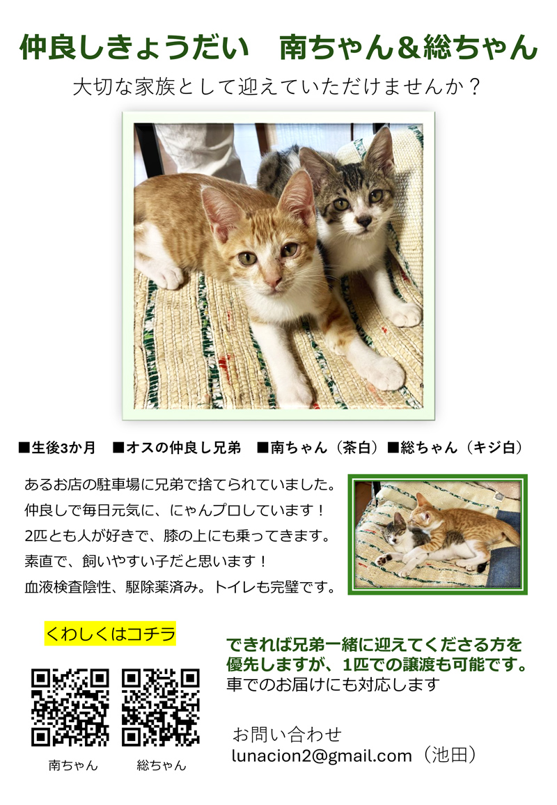南ちゃん&総ちゃん