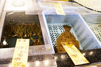 活魚コーナー